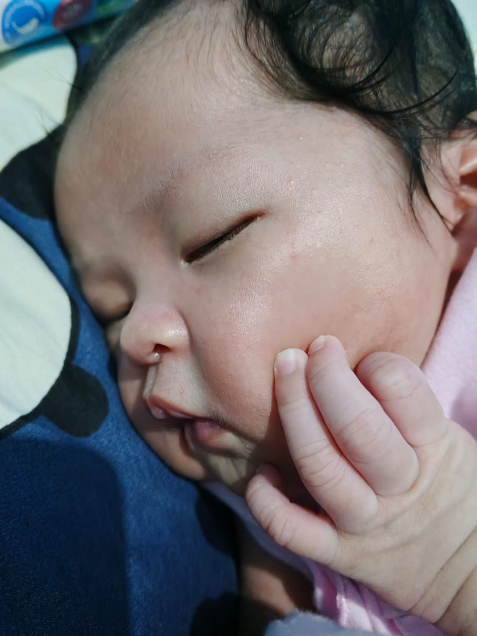 WhatsApp Image 2025-12-29 at 16.57.46