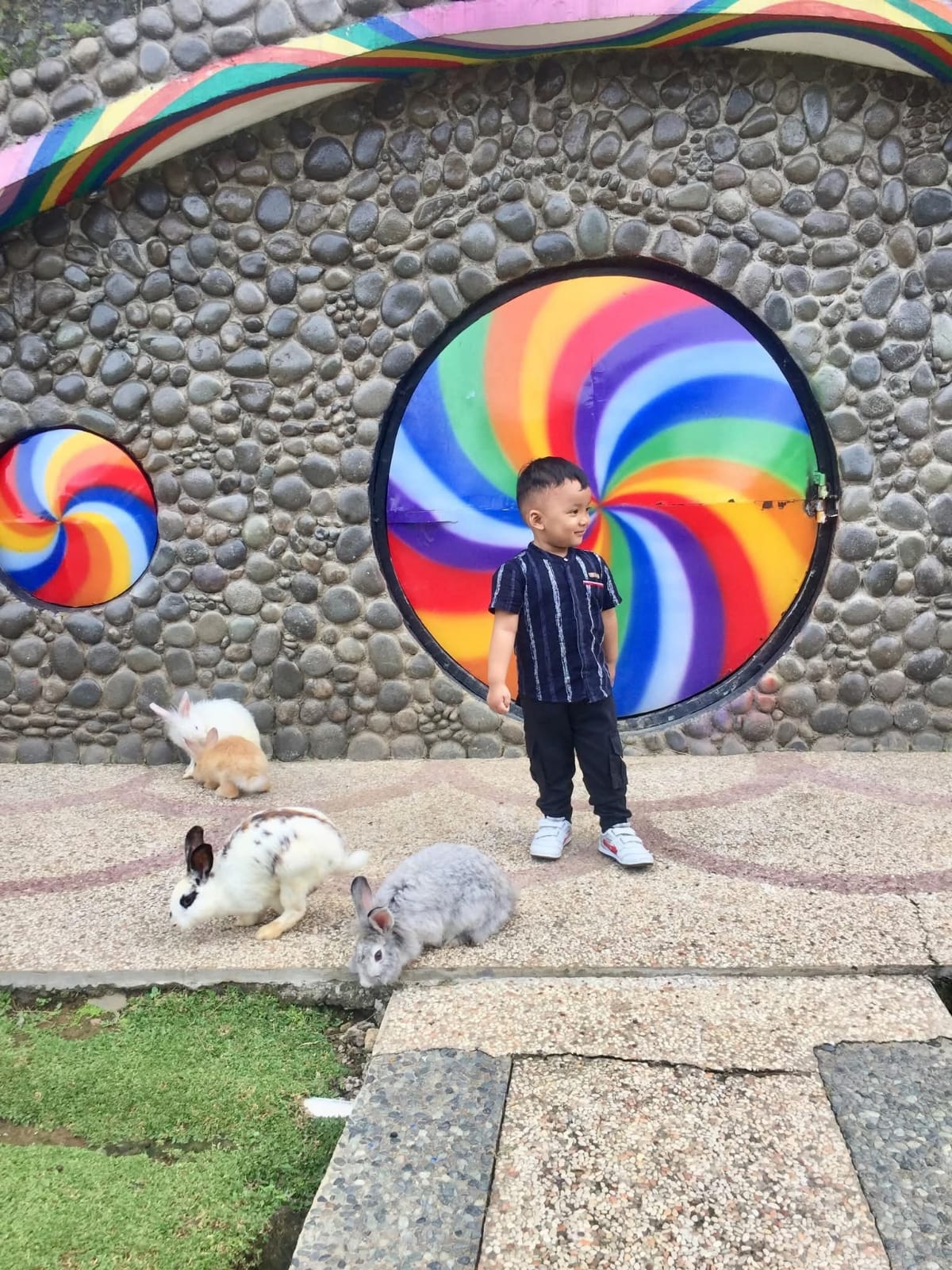 WhatsApp Image 2026-03-24 at 13.20.42