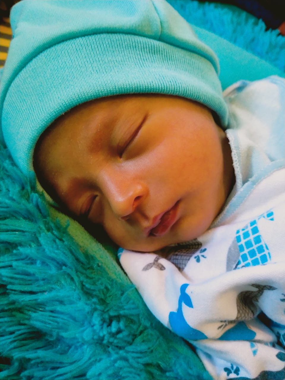 WhatsApp Image 2026-04-07 at 18.18.19(1)